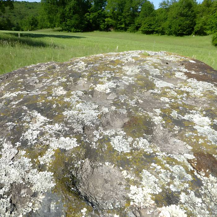Photo de Bloc cupulaire
