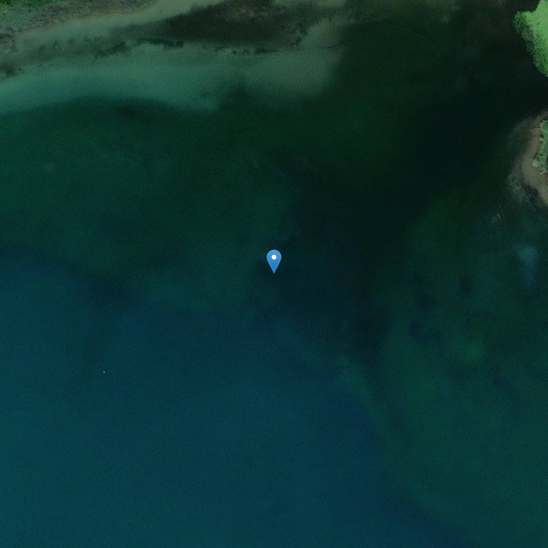 Photo de Sito archeologico di Châtillon immerso nel lago di Bourget