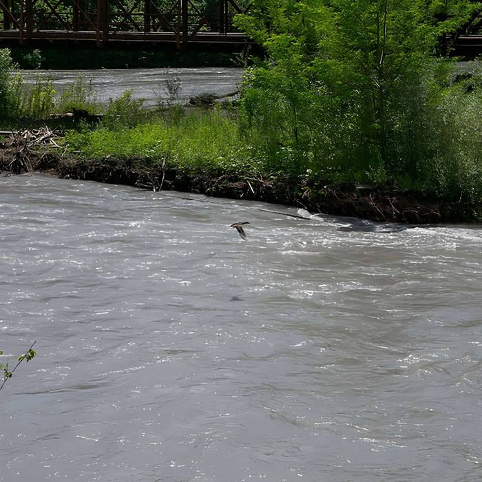Photo de Pont Victor-Emmanuel dit Pont des Anglais