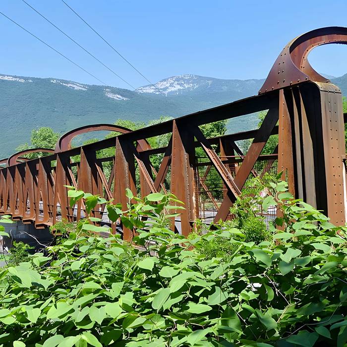 Photo de Pont Victor-Emmanuel dit Pont des Anglais