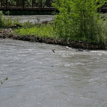 Pont Victor-Emmanuel dit Pont des Anglais