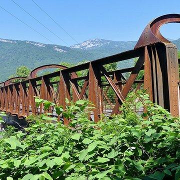 Pont Victor-Emmanuel dit Pont des Anglais