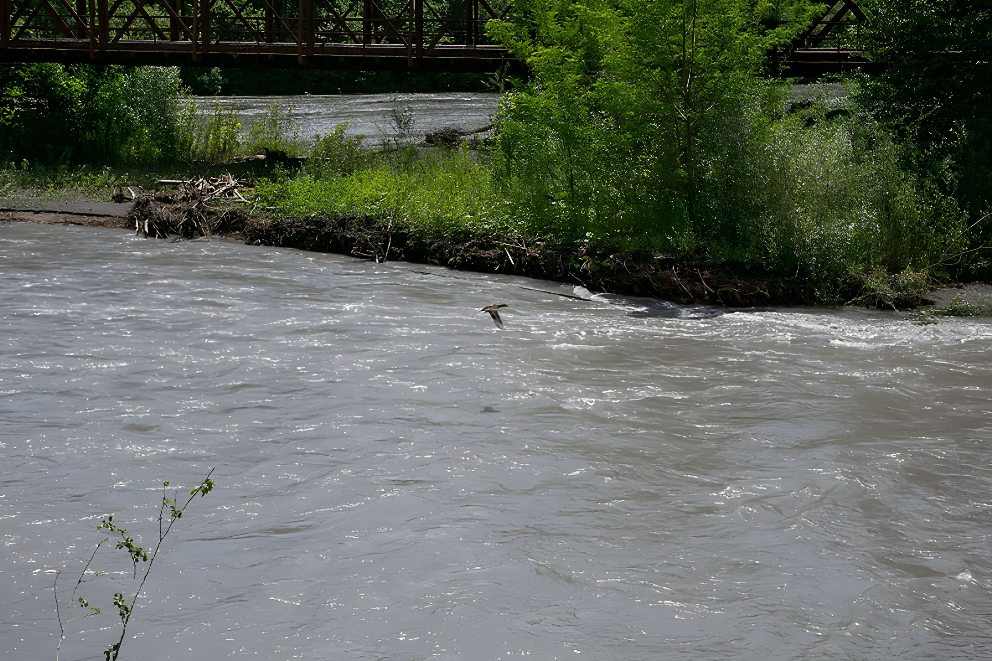Pont Victor-Emmanuel dit Pont des Anglais