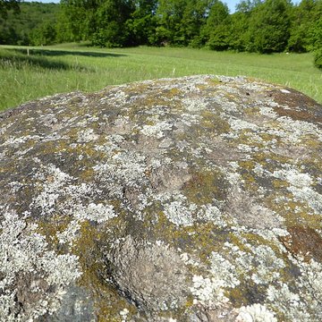 Blocs cupulaires deux