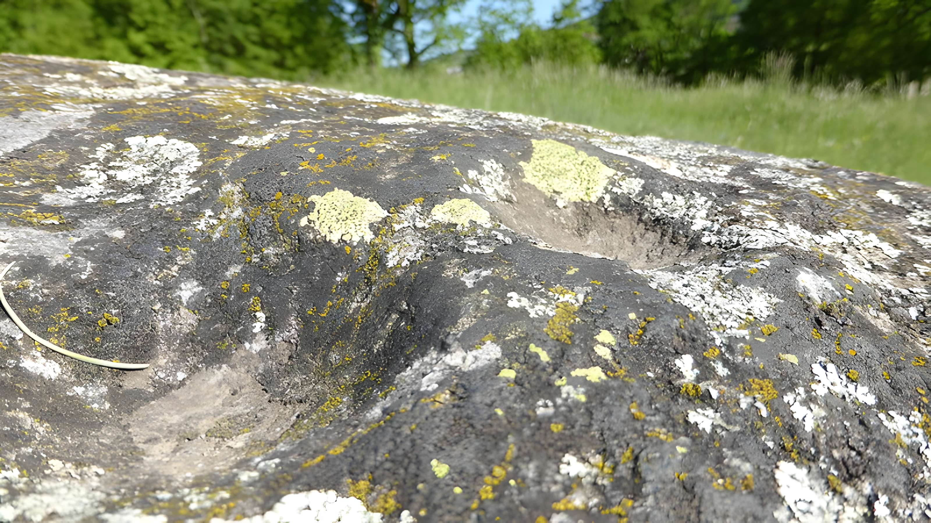 Blocs cupulaires (deux)