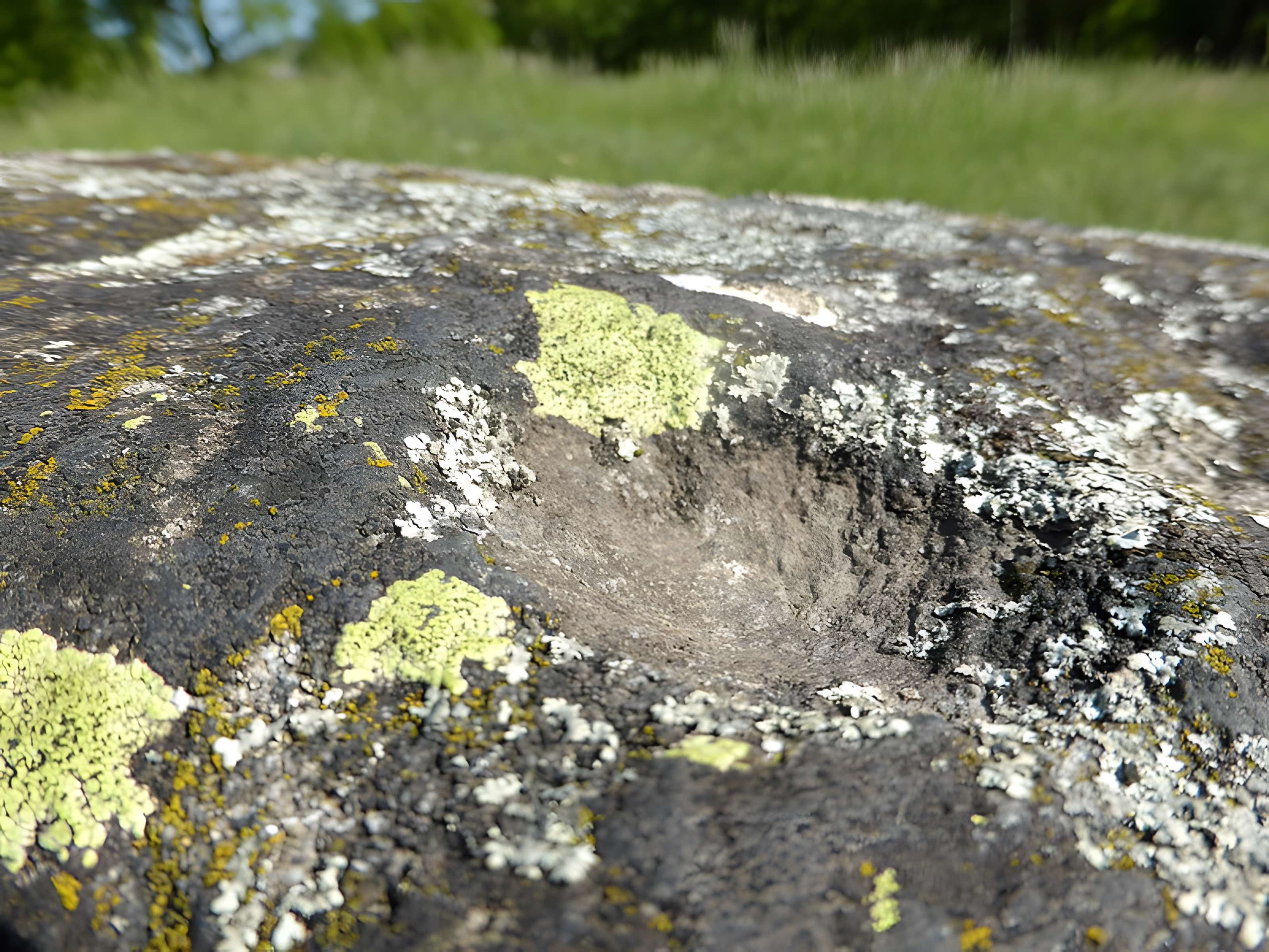 Blocs cupulaires (deux)