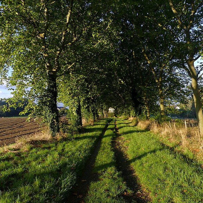 Photo de Château de Carron