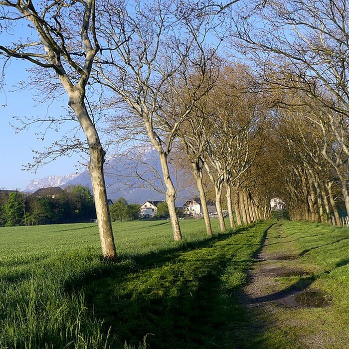 Photo de Château de Carron