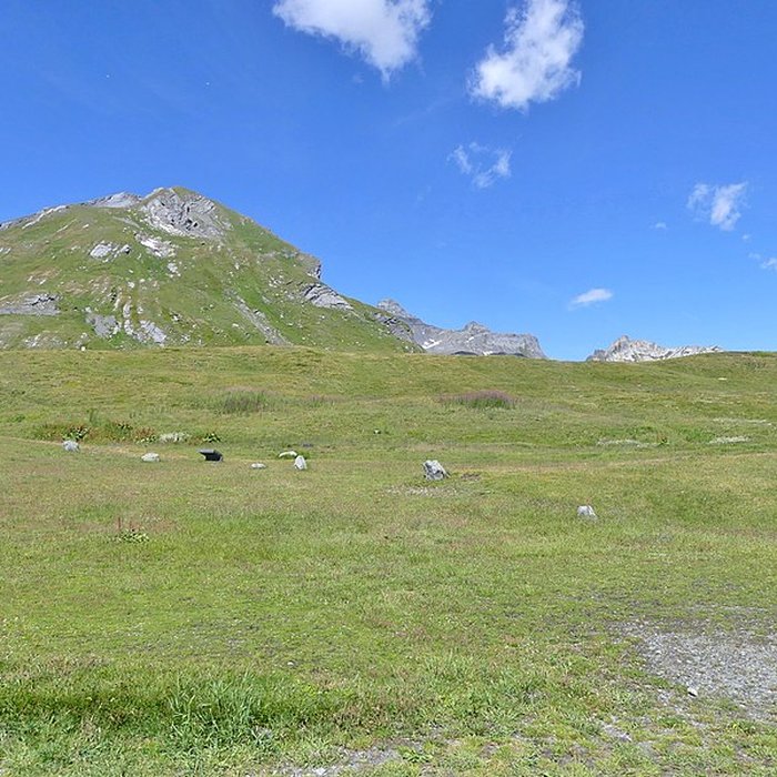 Photo de Cercle de pierres