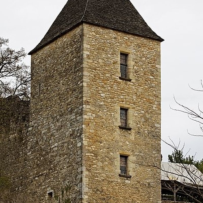 Photo de Château de Castelnaud