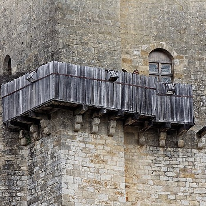 Photo de Château de Castelnaud