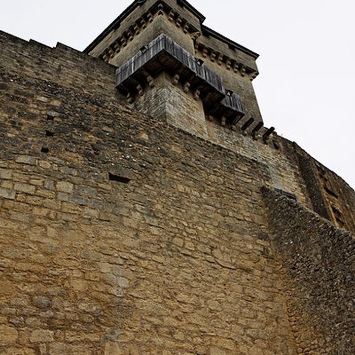 Photo de Château de Castelnaud
