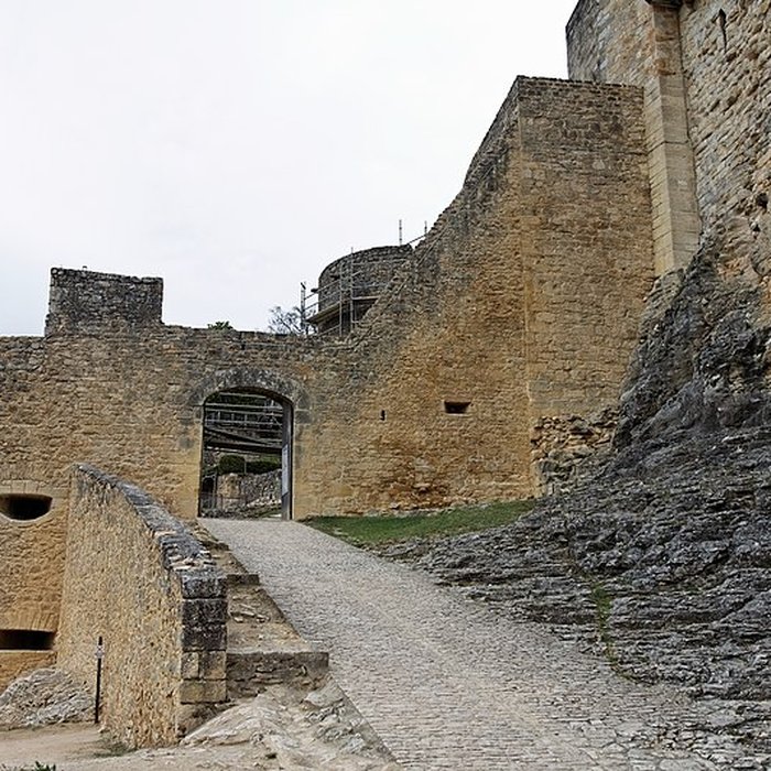 Photo de Château de Castelnaud