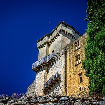Château de Castelnaud