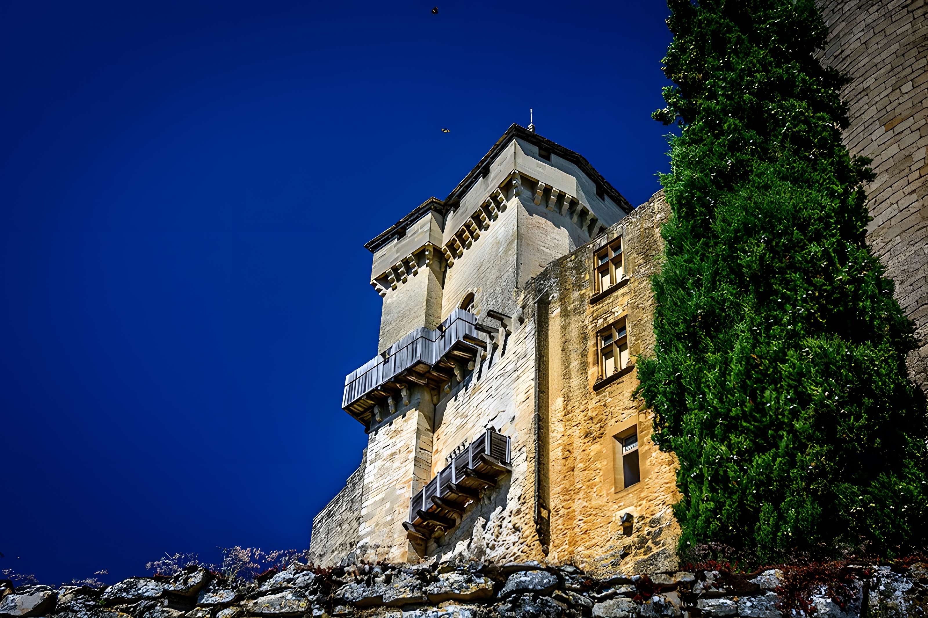 Château de Castelnaud