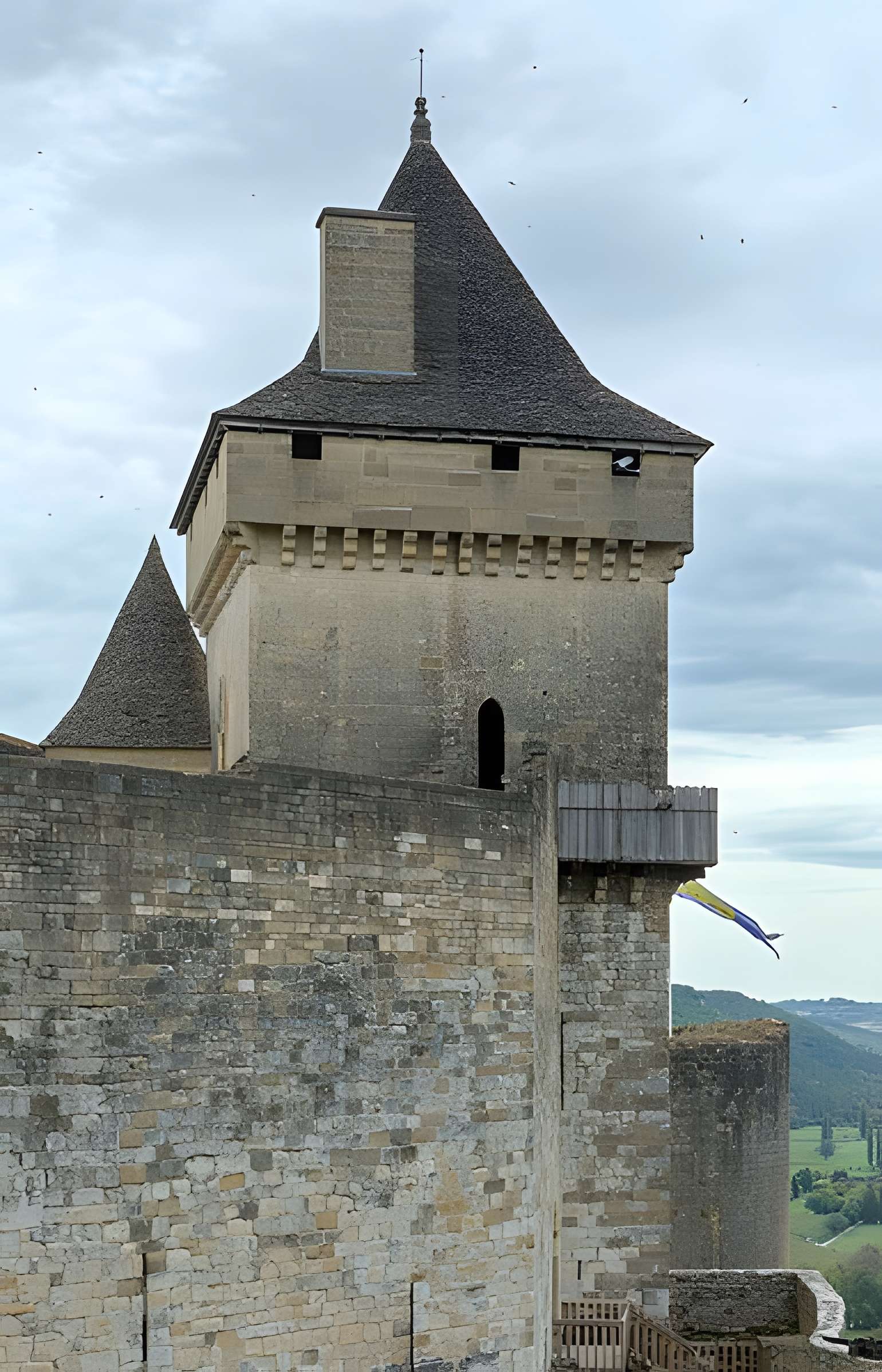 Château de Castelnaud