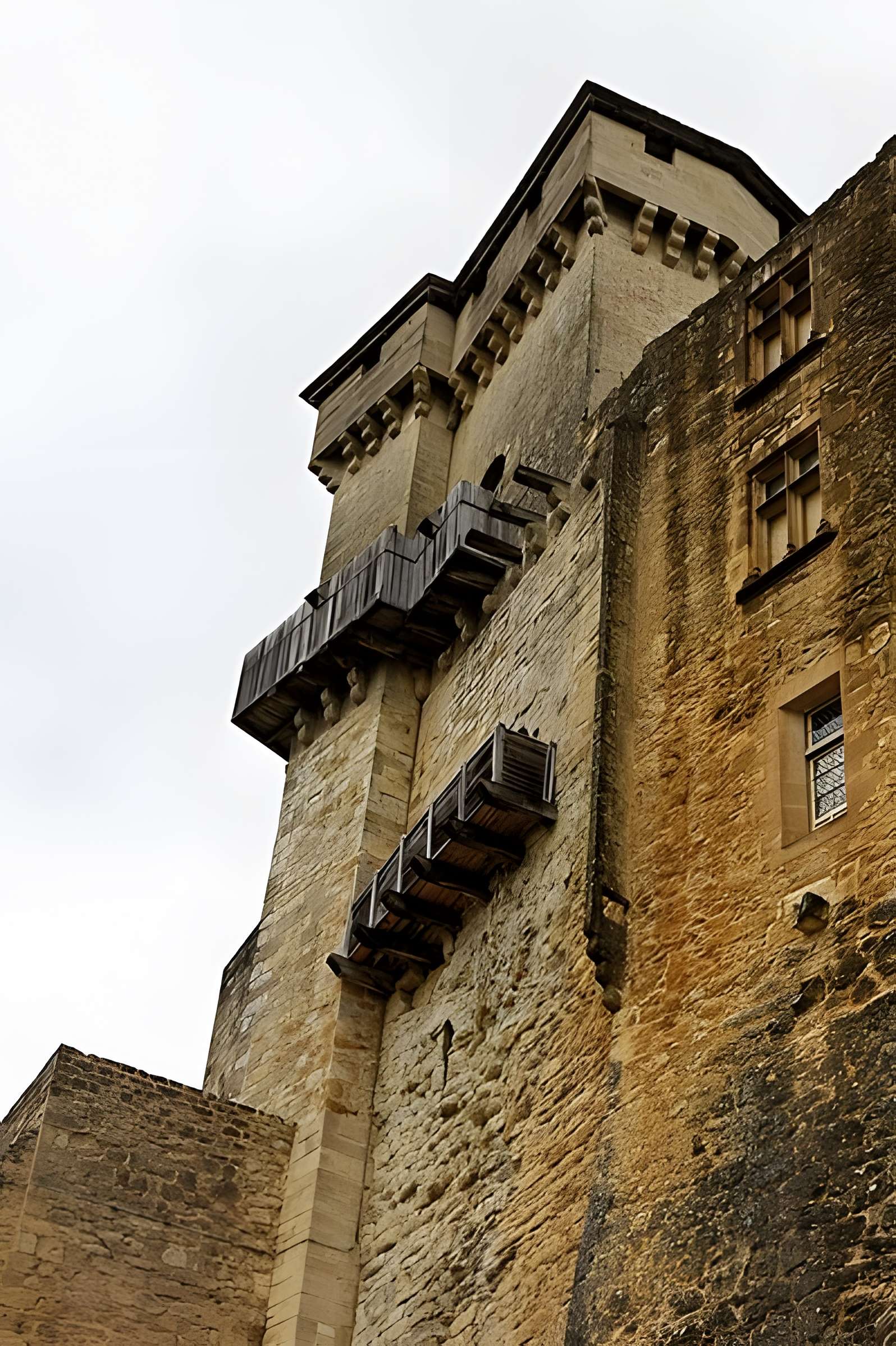 Château de Castelnaud
