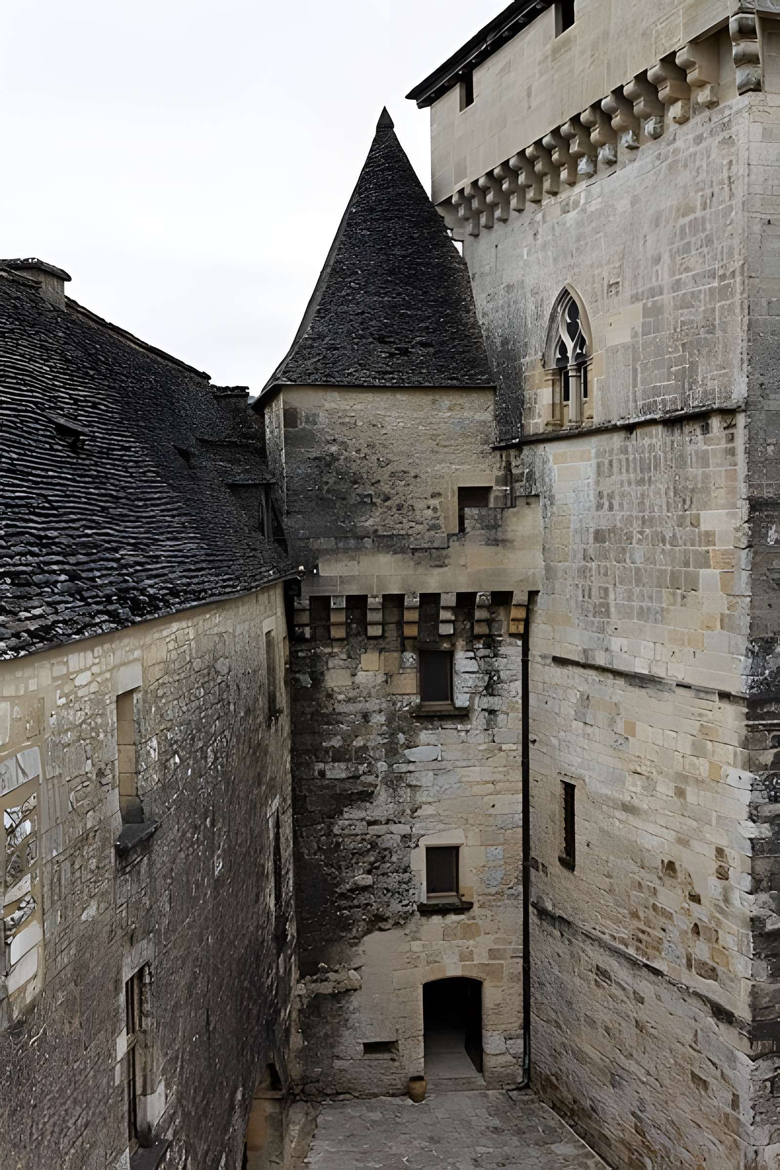 Château de Castelnaud