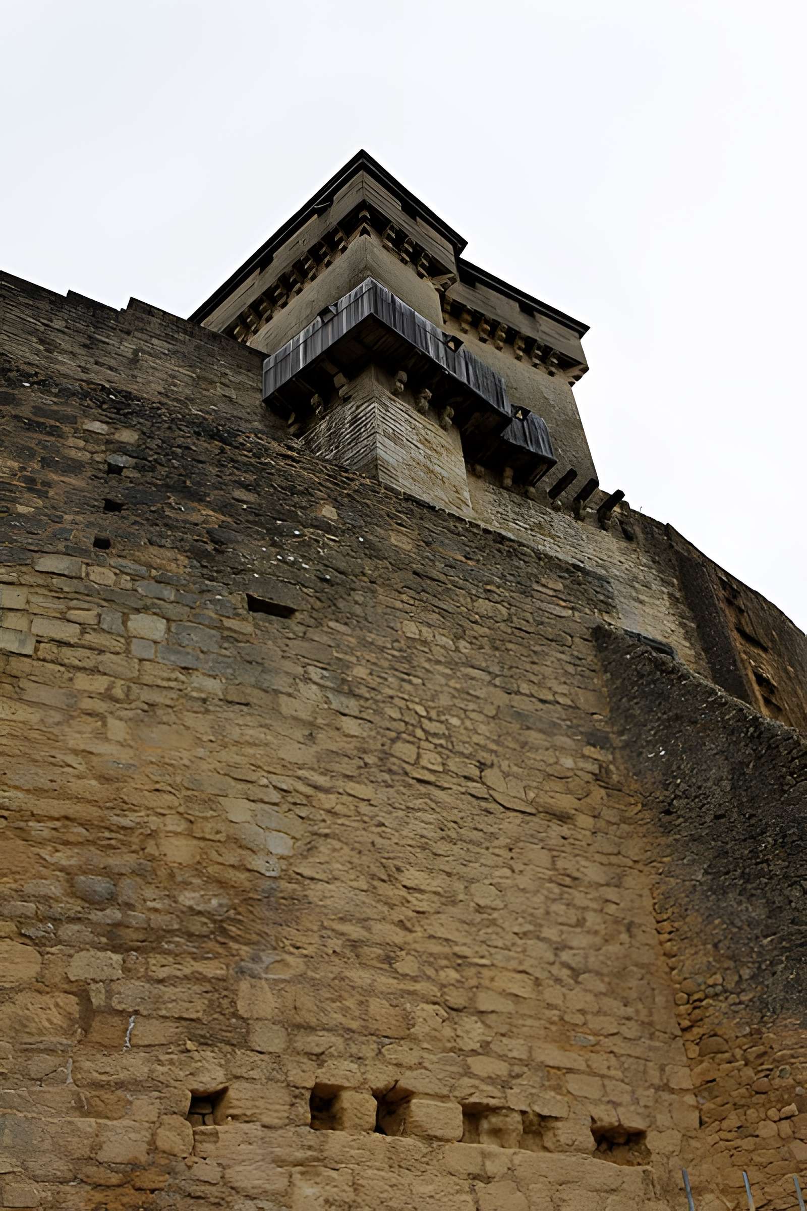 Château de Castelnaud