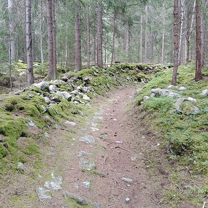 Photo de Ancienne piste de bobsleigh