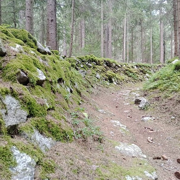 Photo de Ancienne piste de bobsleigh
