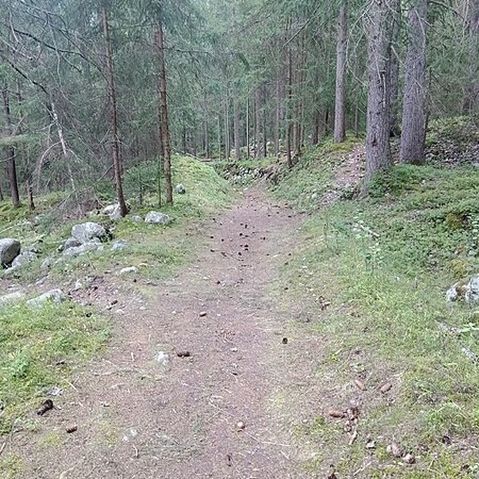 Photo de Ancienne piste de bobsleigh