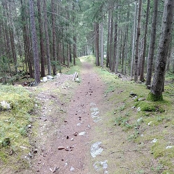 Photo de Ancienne piste de bobsleigh