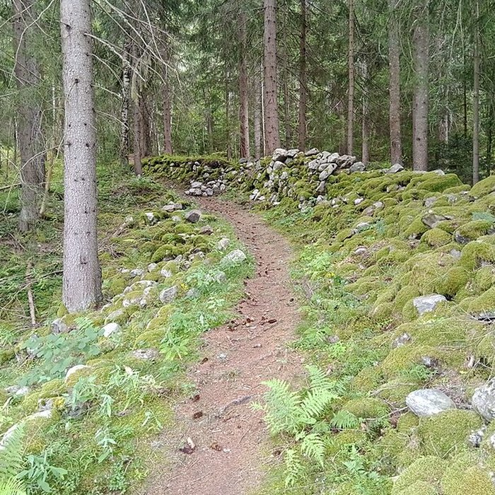 Photo de Ancienne piste de bobsleigh