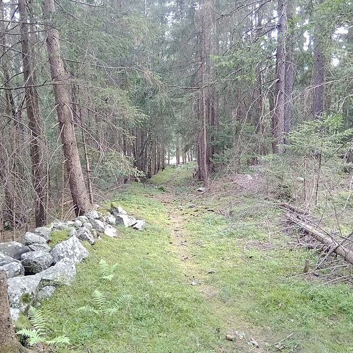 Photo de Ancienne piste de bobsleigh