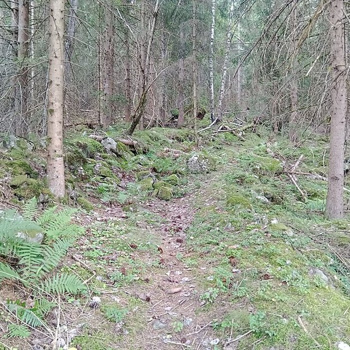Photo de Ancienne piste de bobsleigh