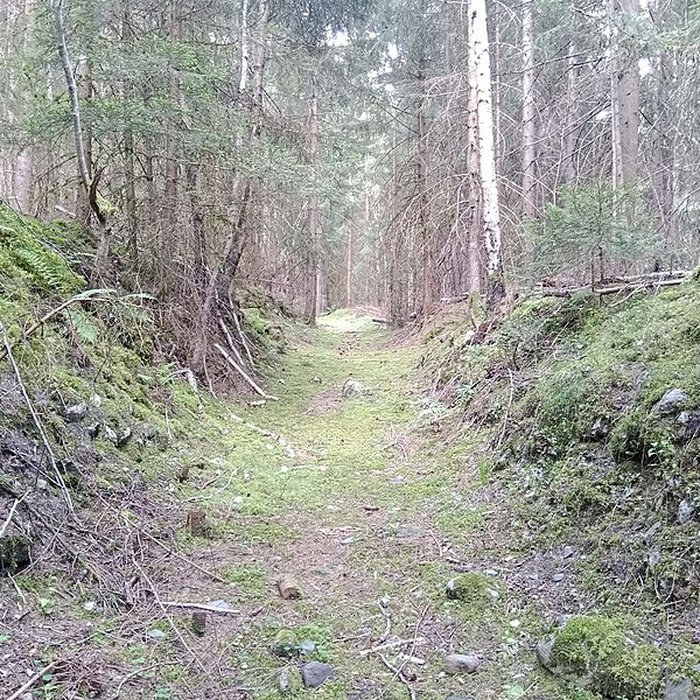 Photo de Ancienne piste de bobsleigh