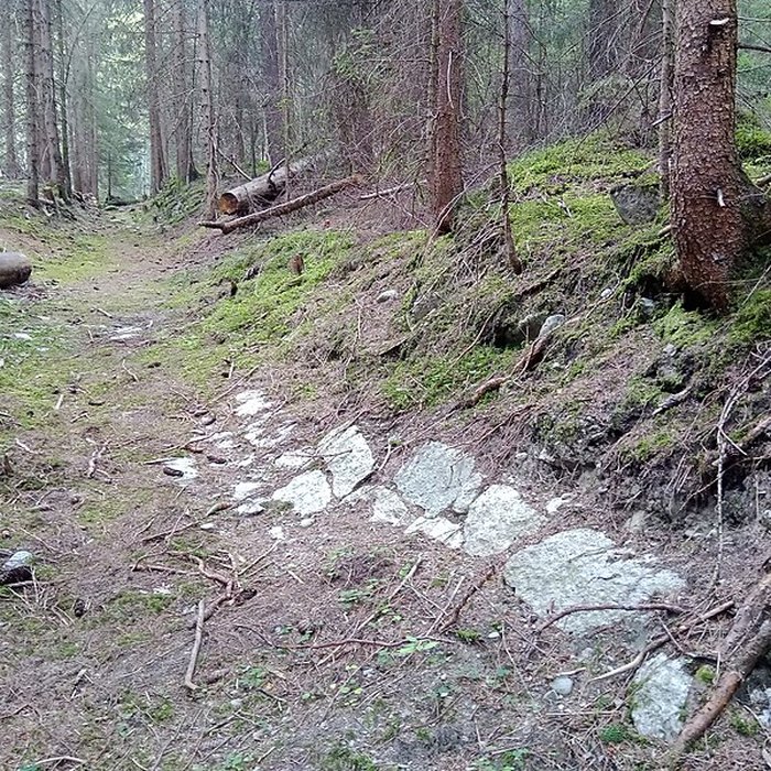 Photo de Ancienne piste de bobsleigh