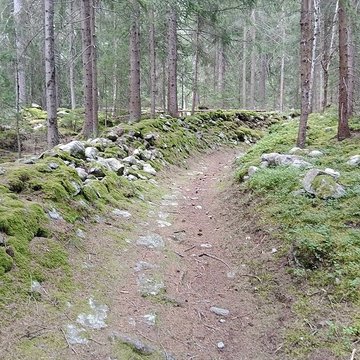 Ancienne piste de bobsleigh