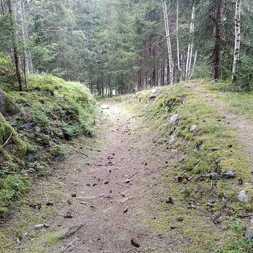 Ancienne piste de bobsleigh