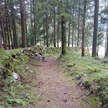 Ancienne piste de bobsleigh