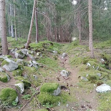 Ancienne piste de bobsleigh