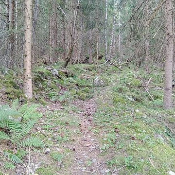 Ancienne piste de bobsleigh