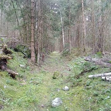 Ancienne piste de bobsleigh