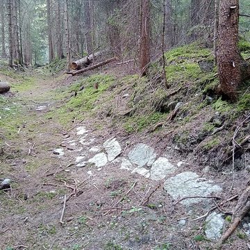 Ancienne piste de bobsleigh