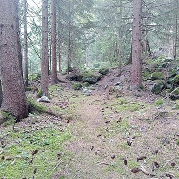 Ancienne piste de bobsleigh