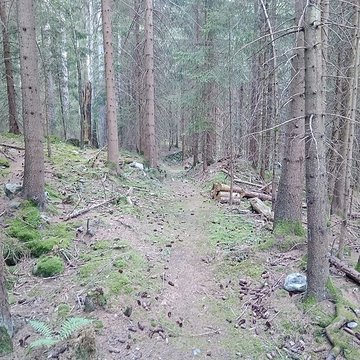 Ancienne piste de bobsleigh