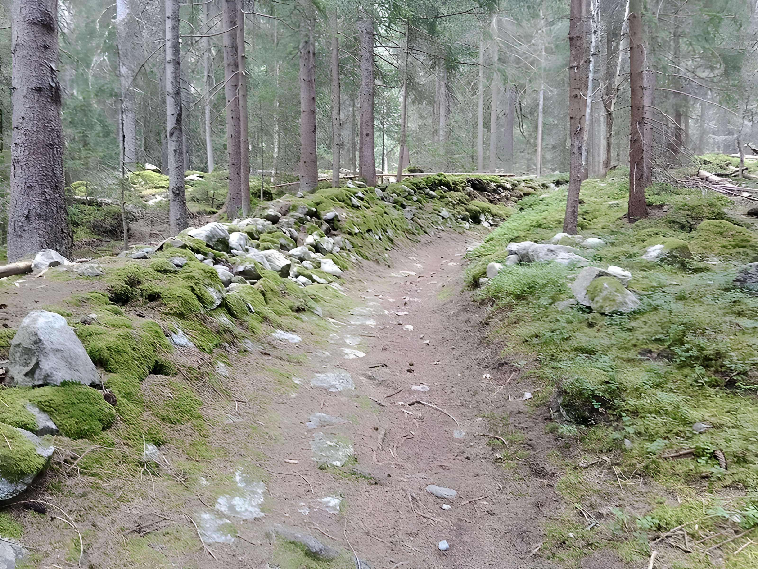 Ancienne piste de bobsleigh