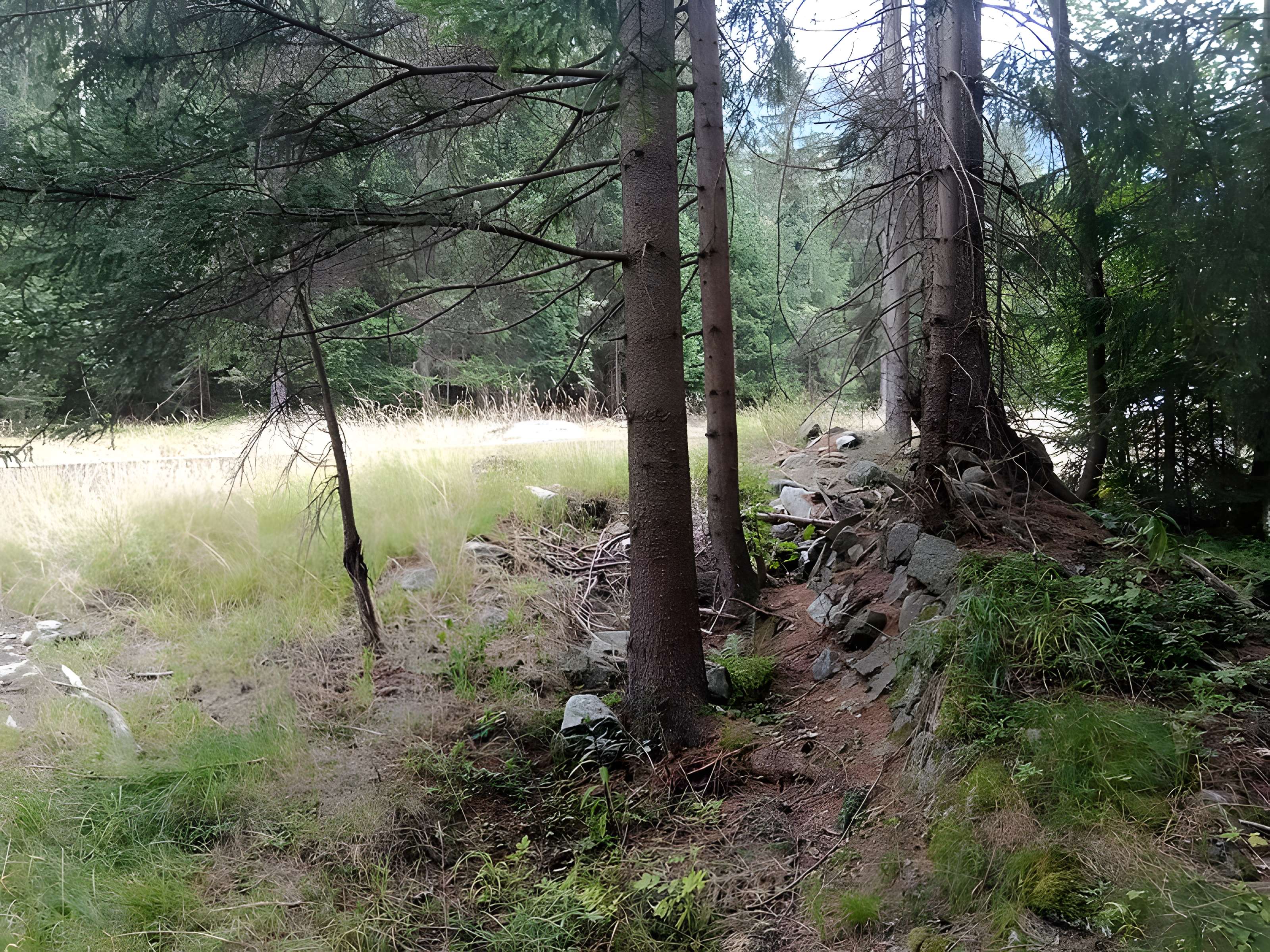 Ancienne piste de bobsleigh