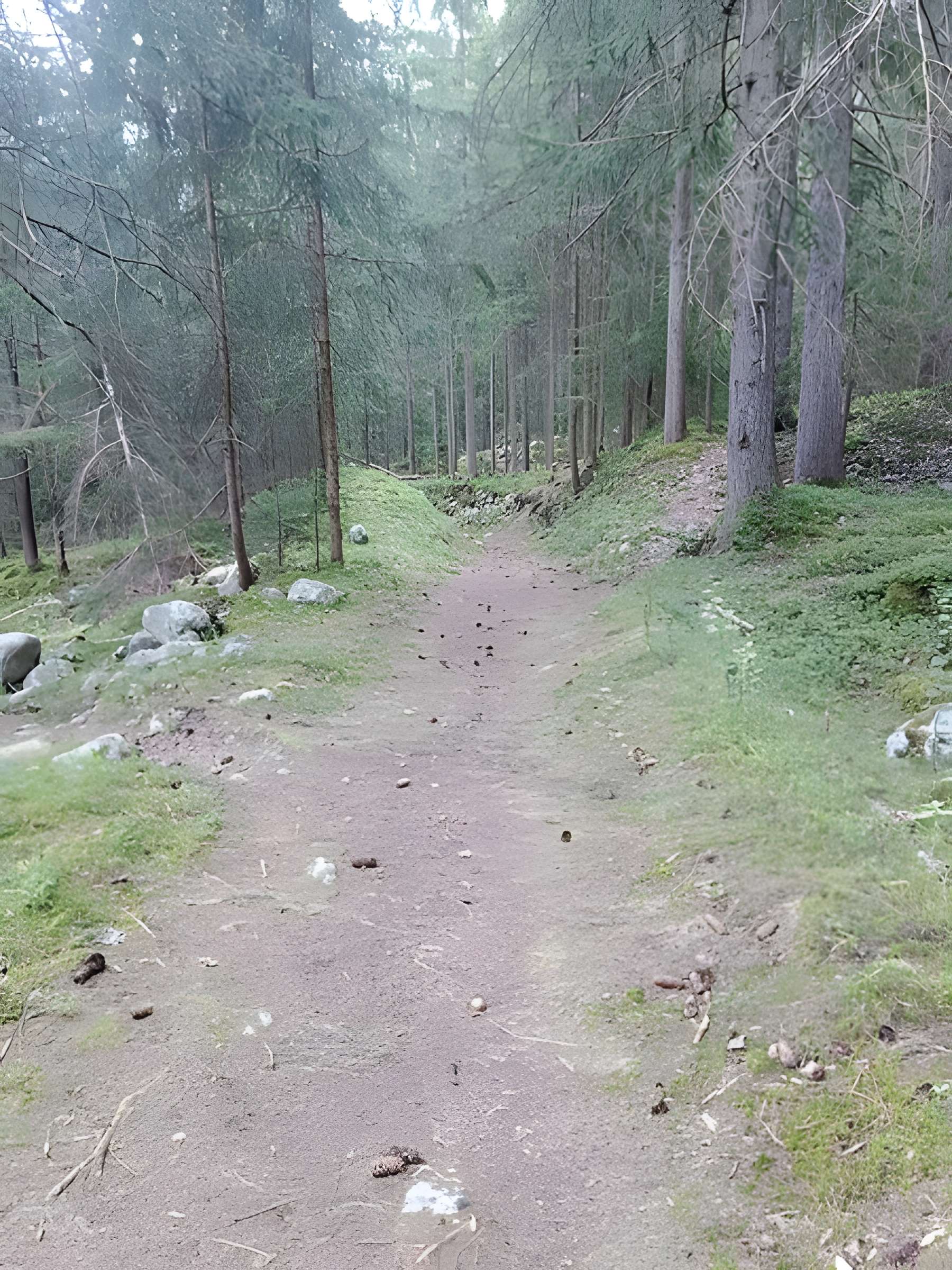 Ancienne piste de bobsleigh
