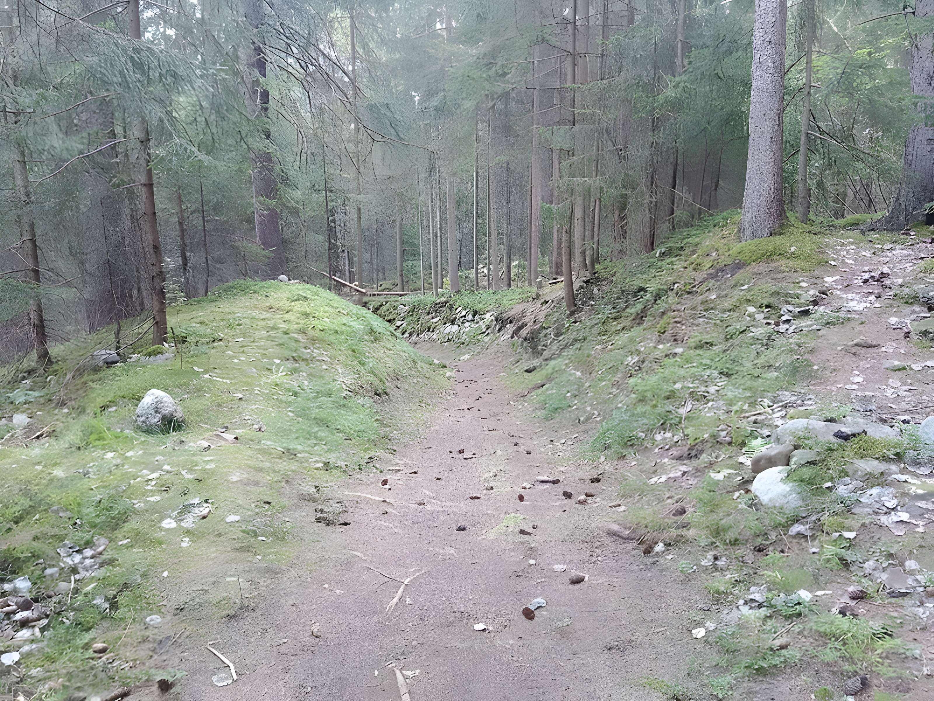 Ancienne piste de bobsleigh