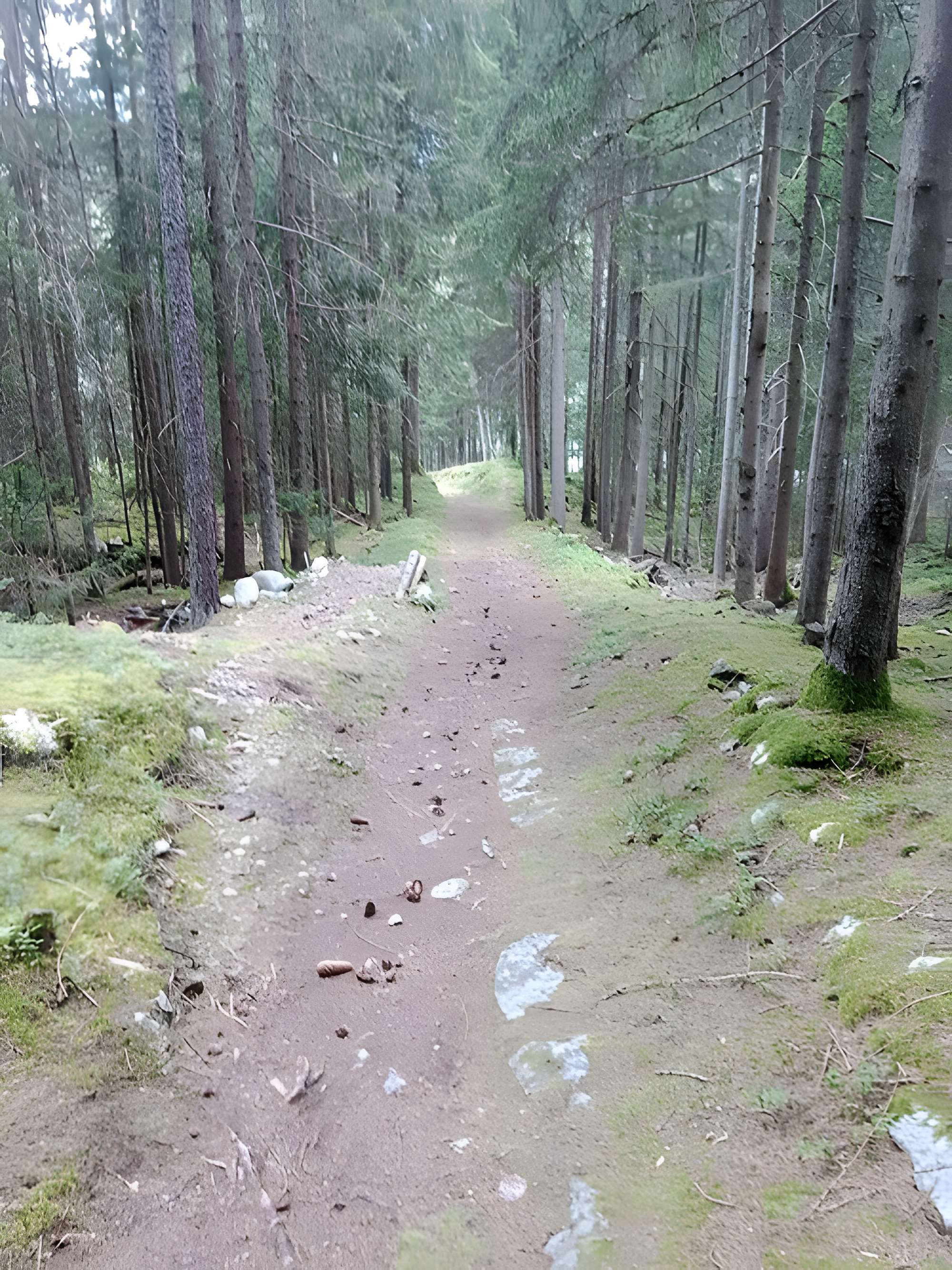 Ancienne piste de bobsleigh