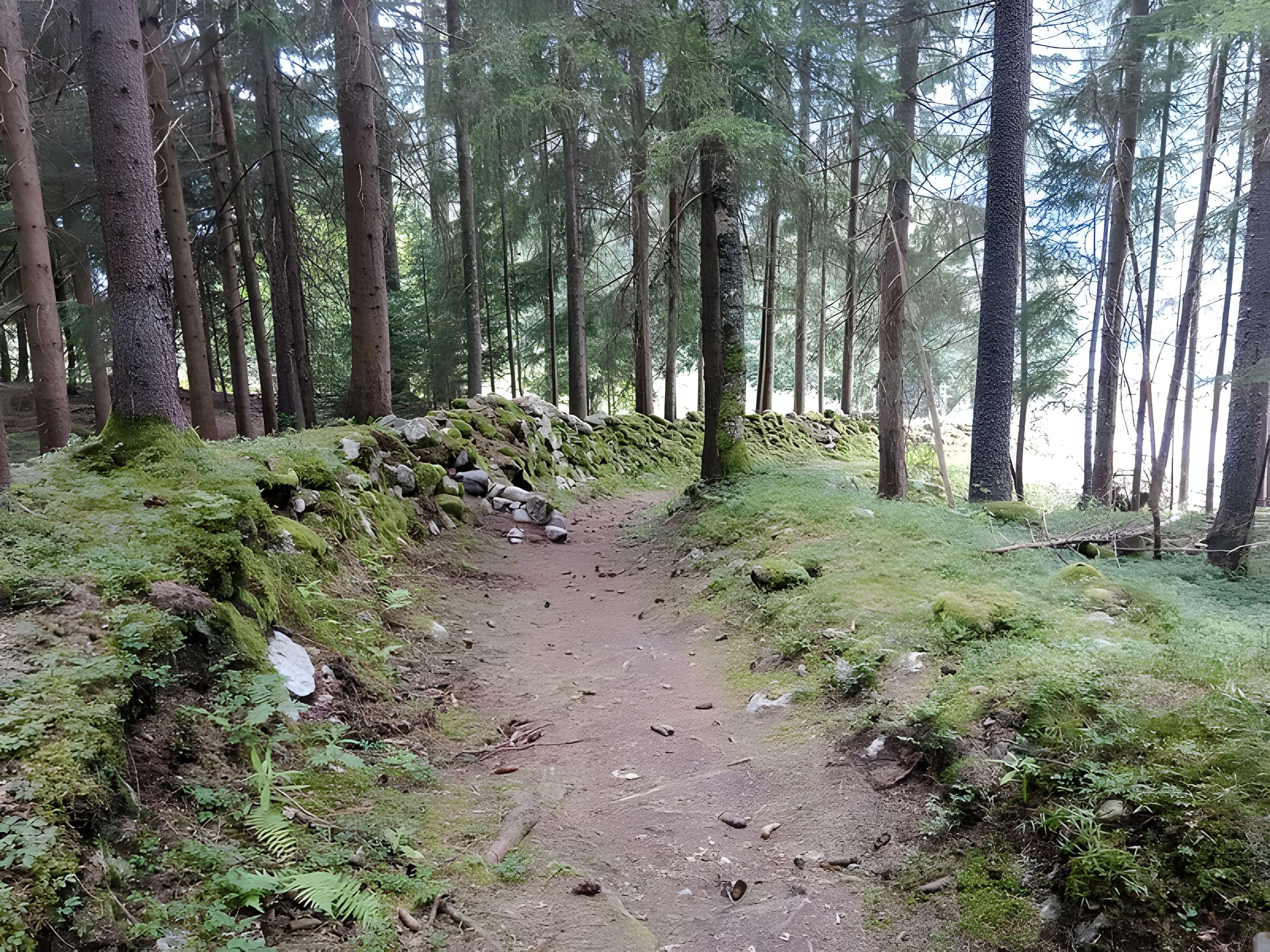 Ancienne piste de bobsleigh