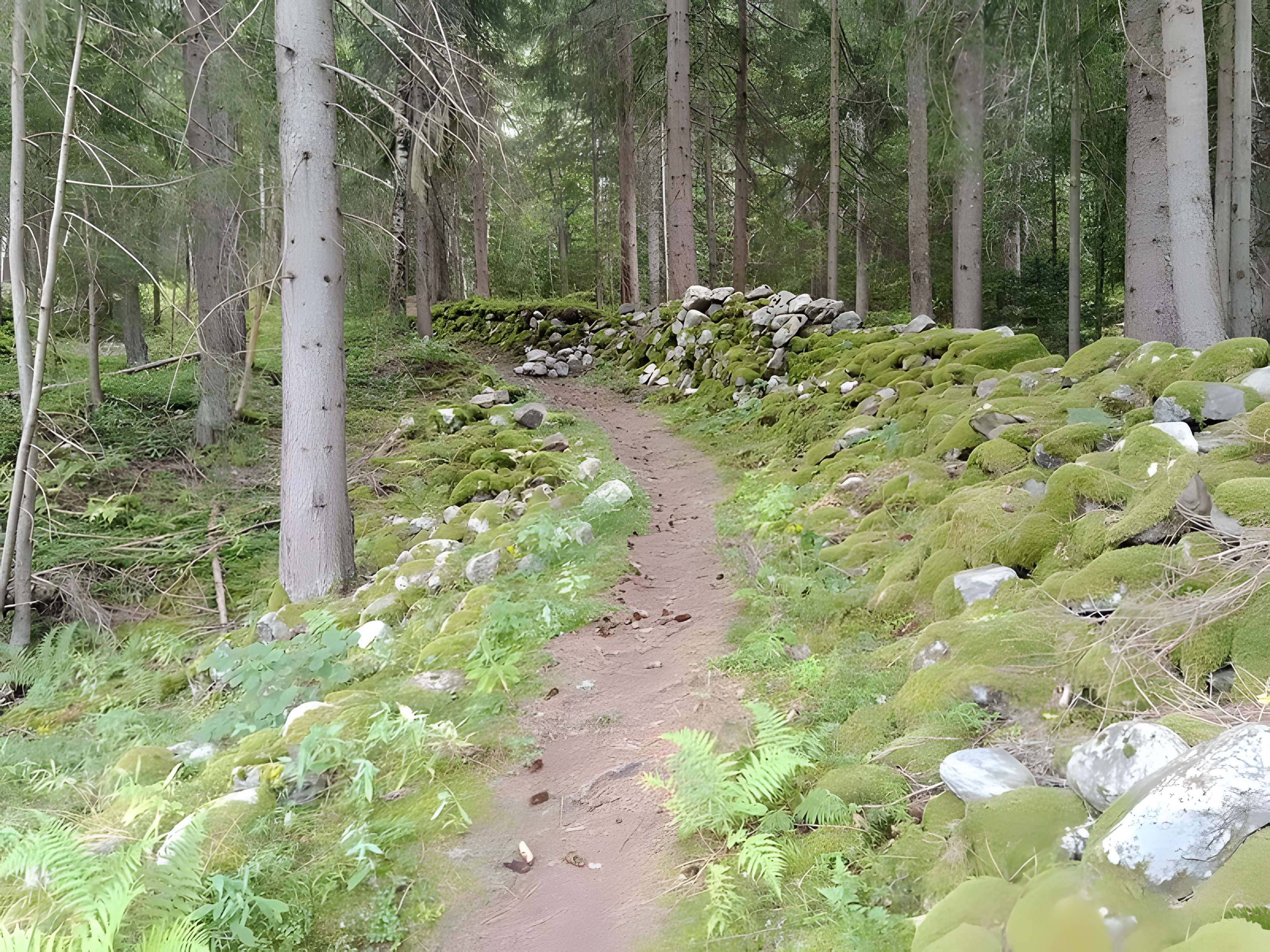 Ancienne piste de bobsleigh