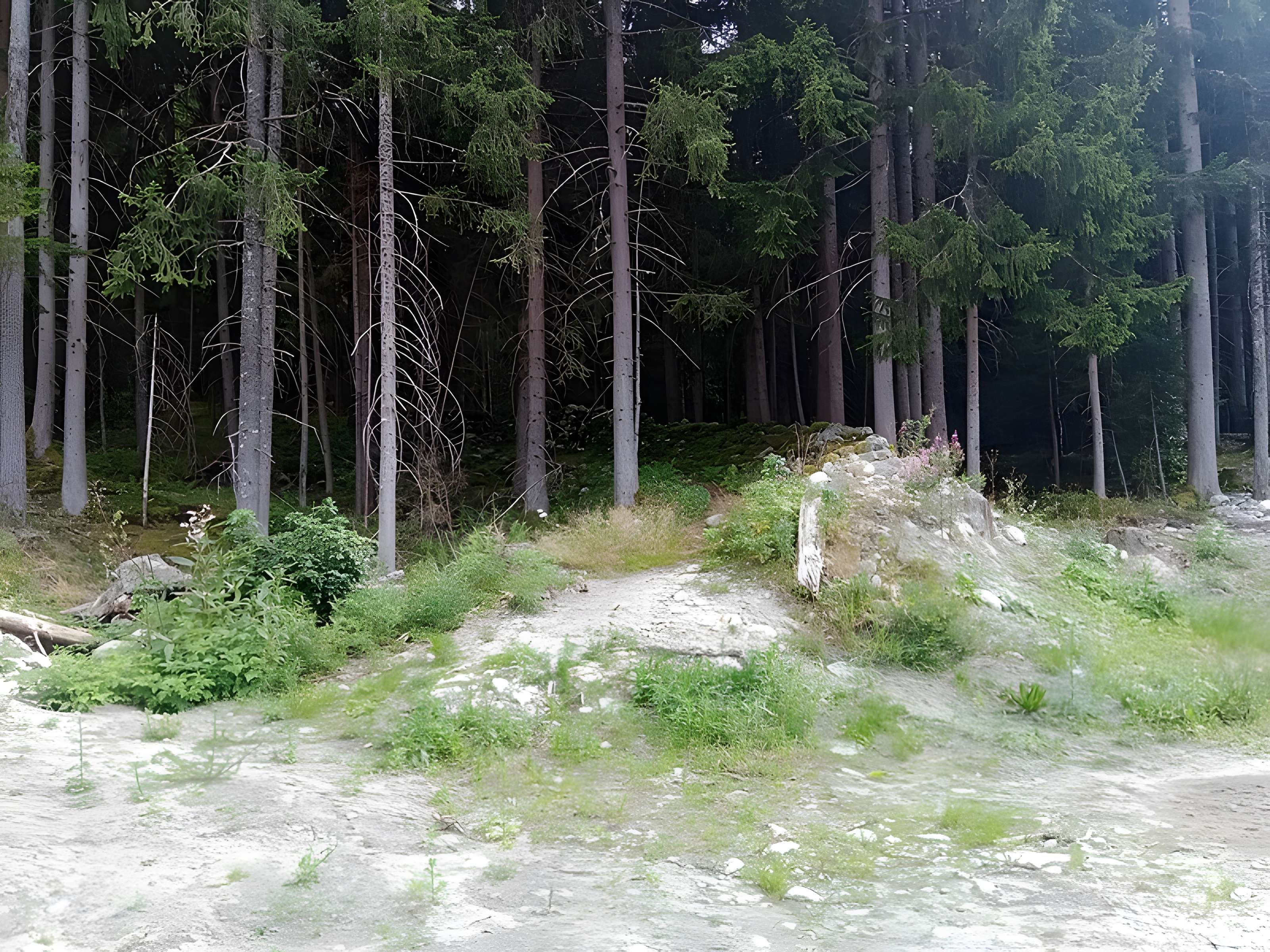 Ancienne piste de bobsleigh