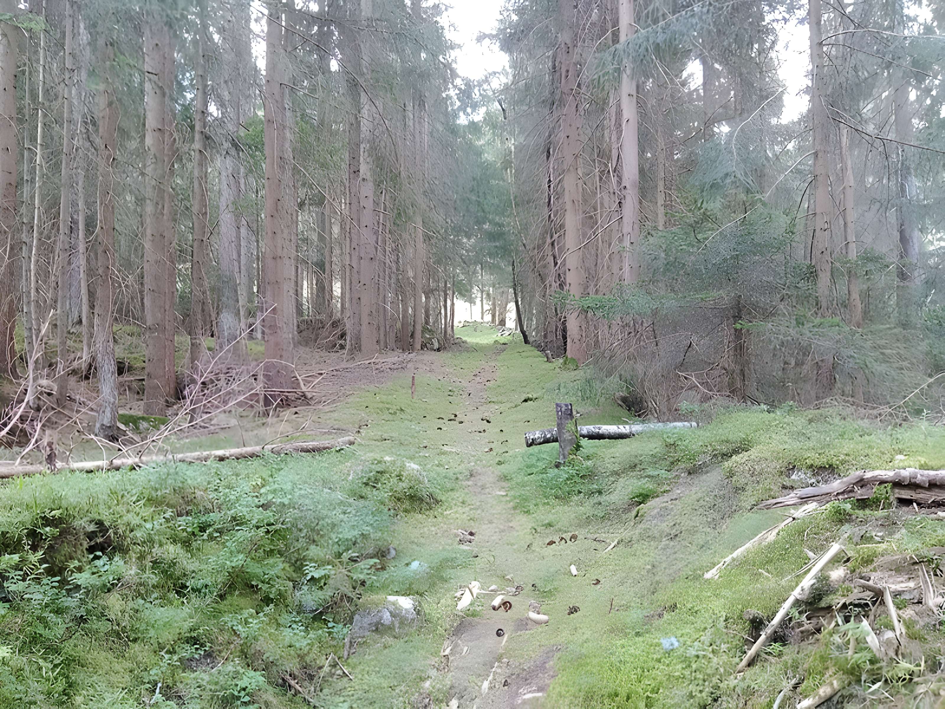 Ancienne piste de bobsleigh